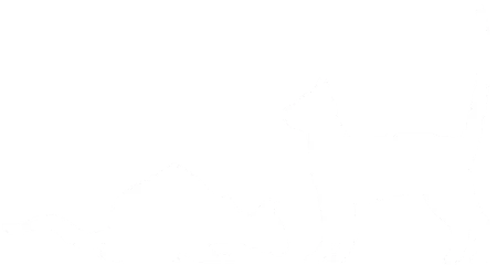 kitty01.webp